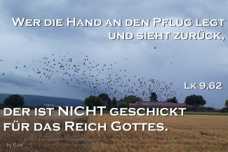 Wochenspruch Okuli