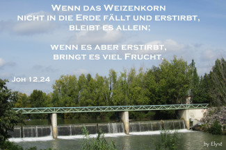 Wochenspruch Lätare