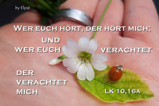 Wochenspruch