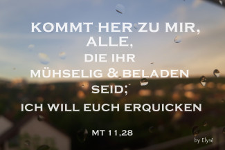 Wochenspruch