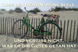 Wochenspruch