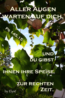 Wochenspruch Erntedank