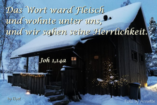 Wochenspruch