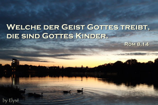 Wochenspruch